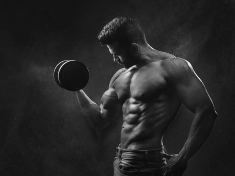 Free Basic Male Diet and Training Plans